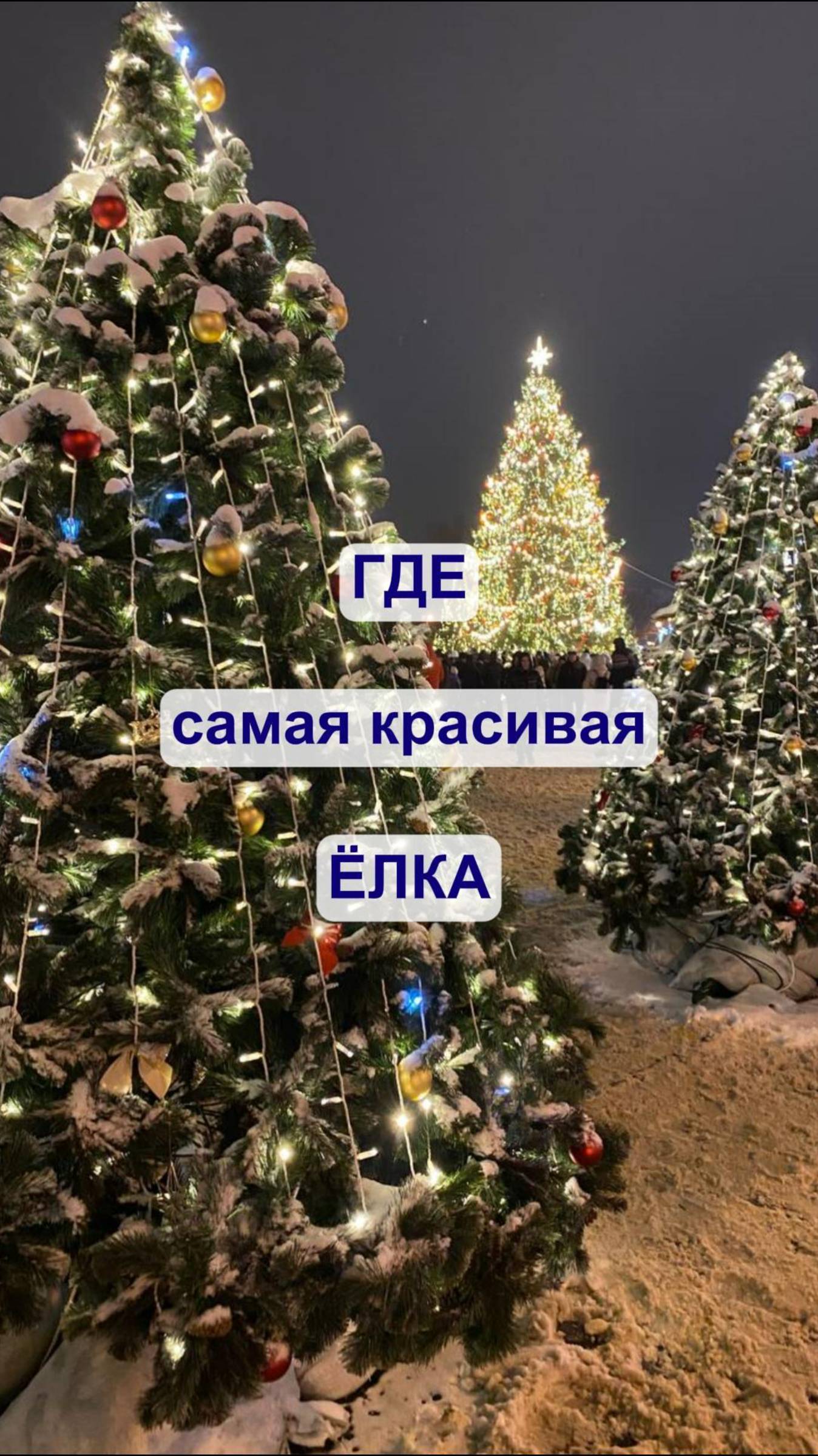 Рейтинг Зеленых Красавиц🎄