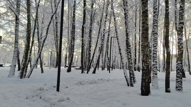 Волшебная природа! Прогуляемся в зимней сказке