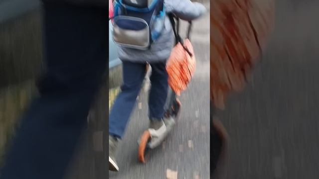 Мы гуляем с другом