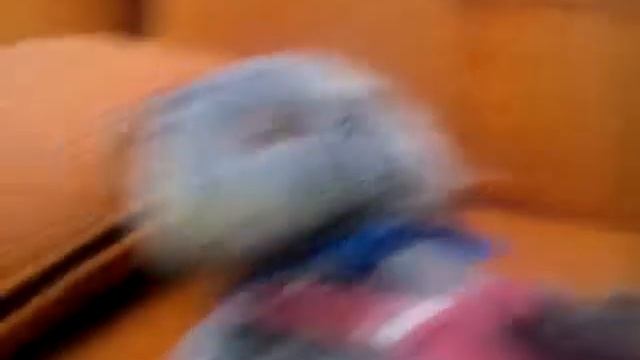 Танци с басиком👋👋👋👋