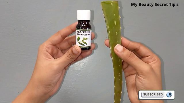 Use Tea tree oil and aloe vera gel for acne ,scars pimples removal 100 ℅|| tea tree oil