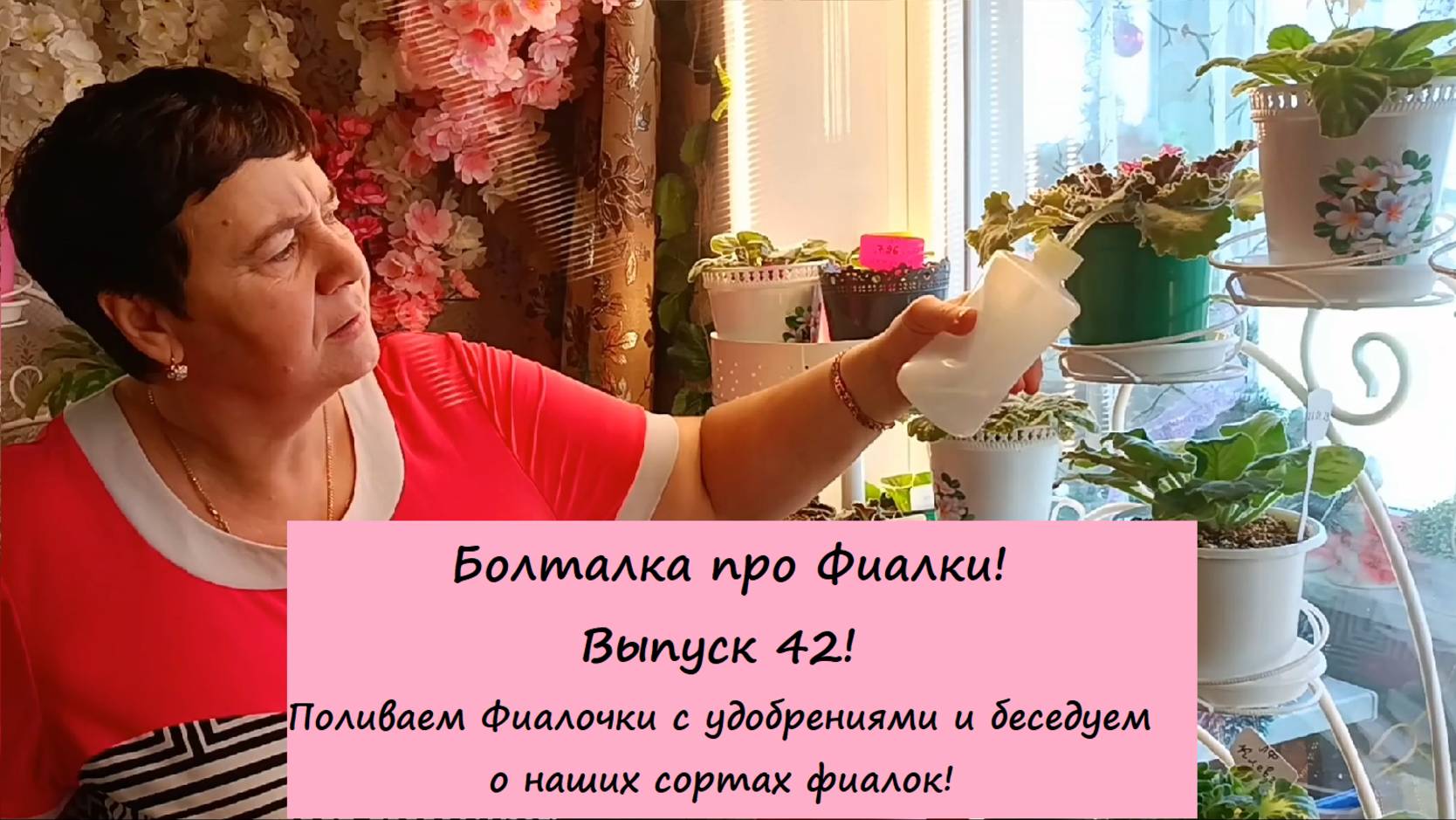 Болталка про Фиалки! Выпуск 42: Поливаем Фиалочки с удобрениями и беседуем о наших сортах фиалок!