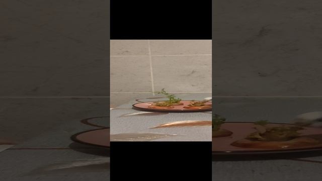 Дружба девочки и птички / Малышка угощает попугая пророщенный морковкой