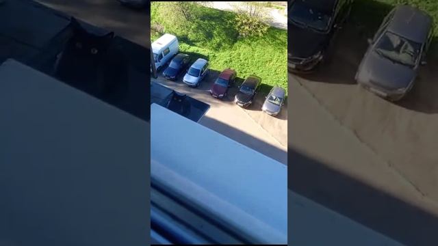 чужая кошка залезла на балкон😂😂