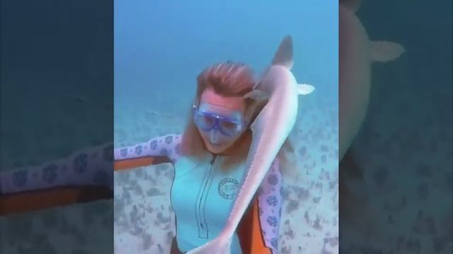 принял волосы за водоросли
