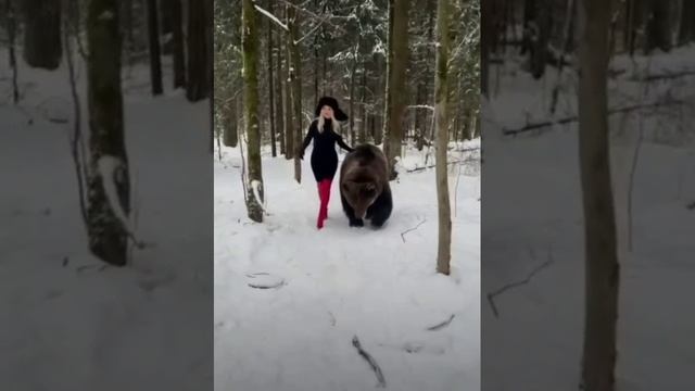 Девушка и медведь