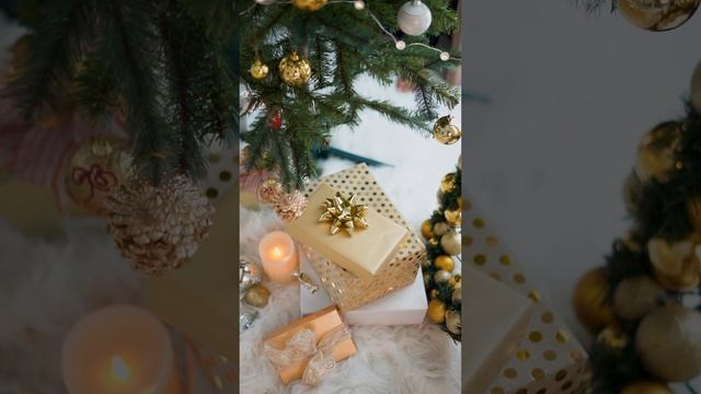 6099399-hd_1080_1920_25fps