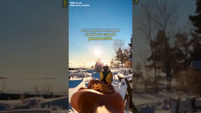 Когда "бесит" - это признак новой личности #личность #вибрации #жизнь #любовь #осознанность #выбор