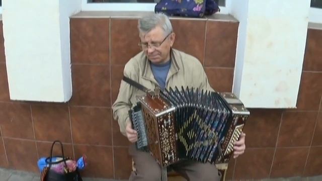 30.05.21 г. Гармонь.Играет Андрей Кузнецов.Липецк.