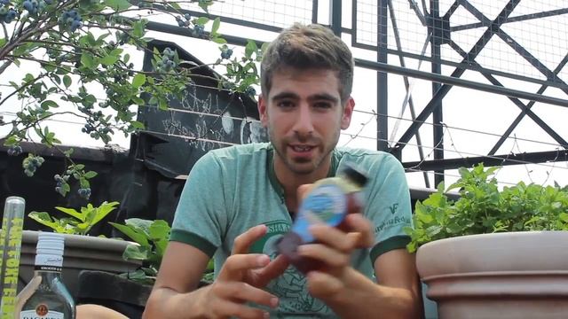 Blueberry Mojito - Brooklyn Rooftop Garden Recipes