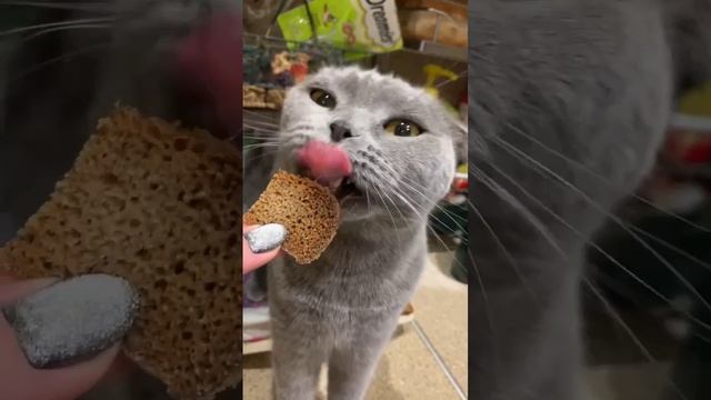 #Sindicat