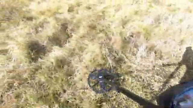 Полное видео с копа. С находками железа на МТМ.