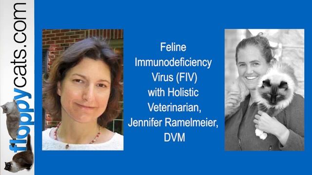 FIV Interview with Holistic Veterinarian Dr. Jennifer Ramelmeier 2019-05-30