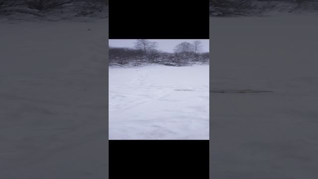 рыбалка 🎣