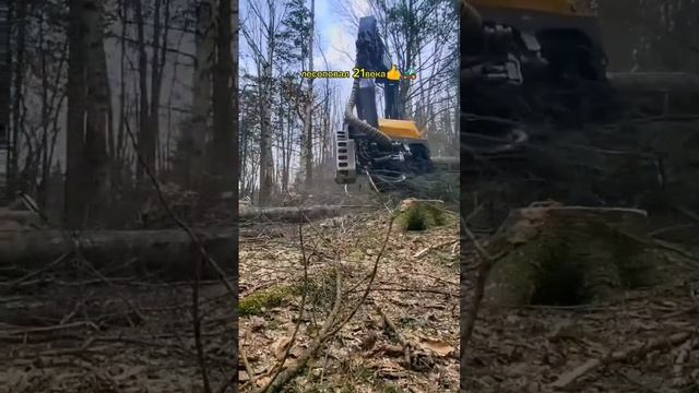Лесоповал 21 века 👍🚜 Не топором махать 😁#лесоповал #машиналеса #рекомендации