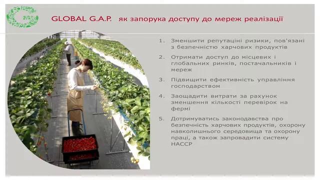 GLOBAL G.A.P. як запорука успішної співпраці з торговими мережами