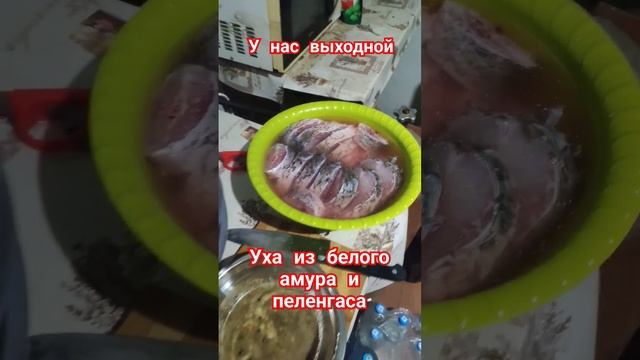 Уха из белого амура и пеленгаса. Как мобилизованные отдыхают на выходных.