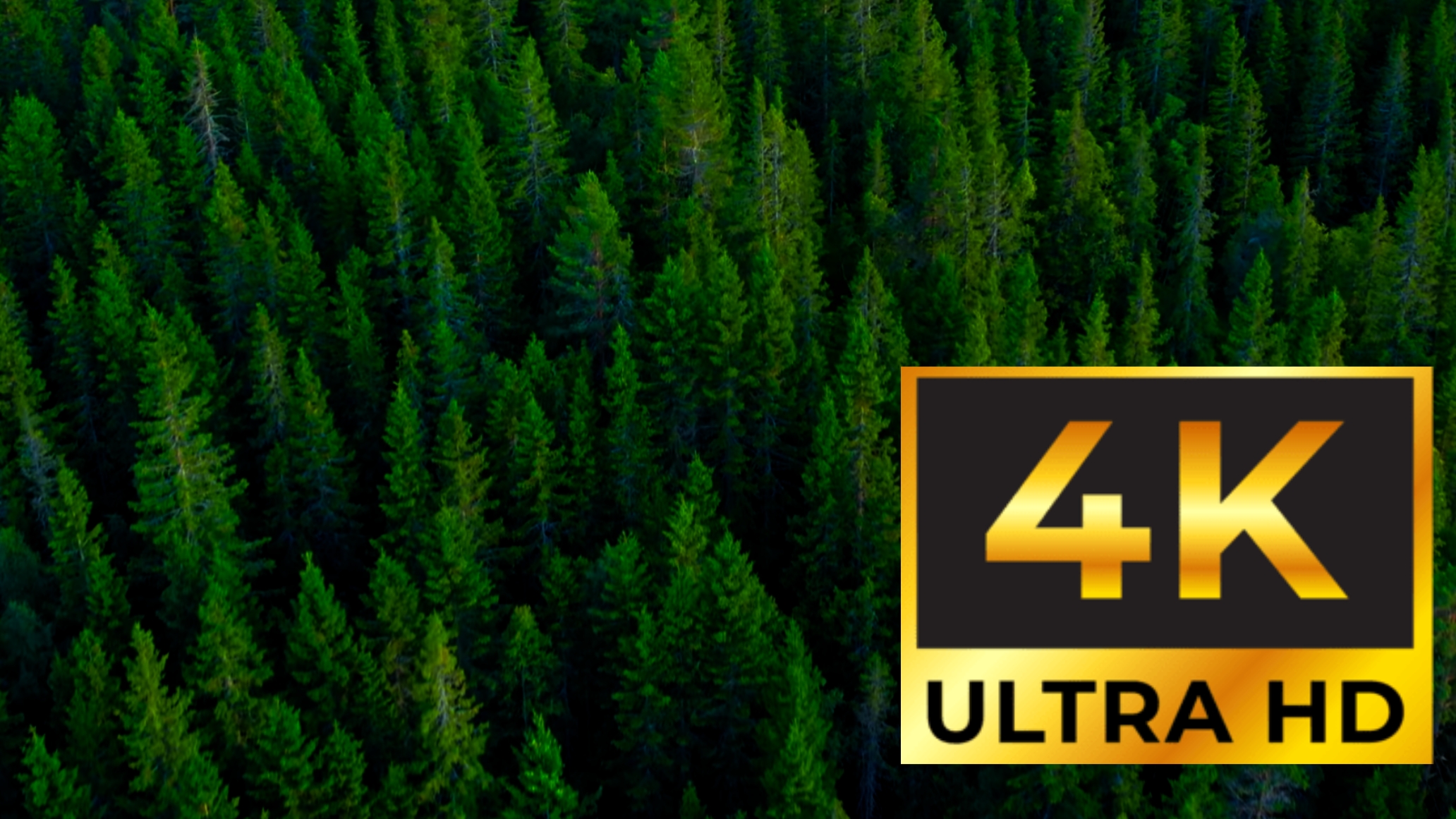 4К ultra HD 60FPS