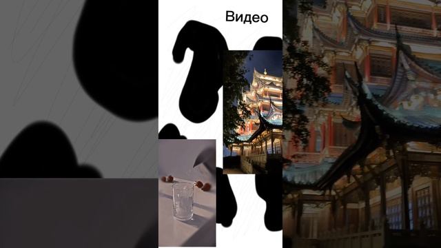 1000016305.mp4