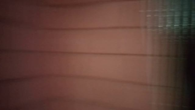 VID_20250112_162510.mp4