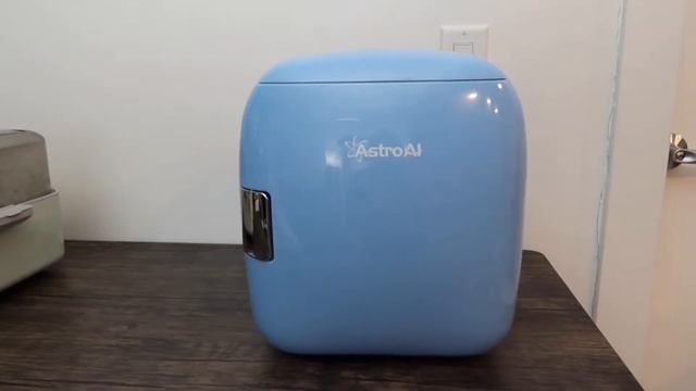 Should You Buy? AstroAI 9L Mini Fridge