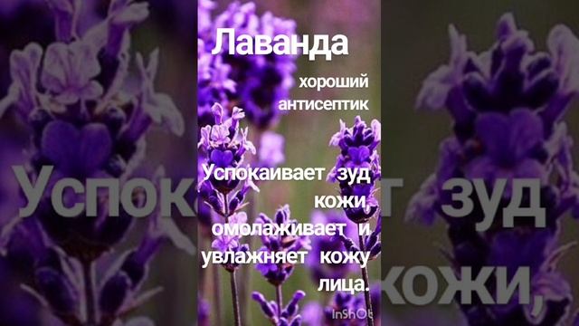 Формула питания улучшает состояние кожи в любом возрасте, продукция компании #Биозан  эффективна