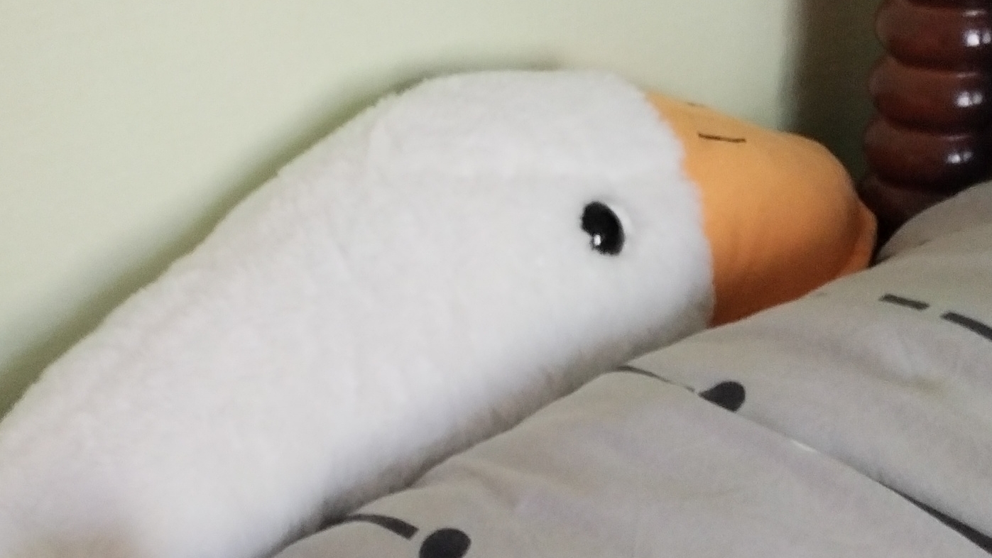 выполняю задание от подписчиков