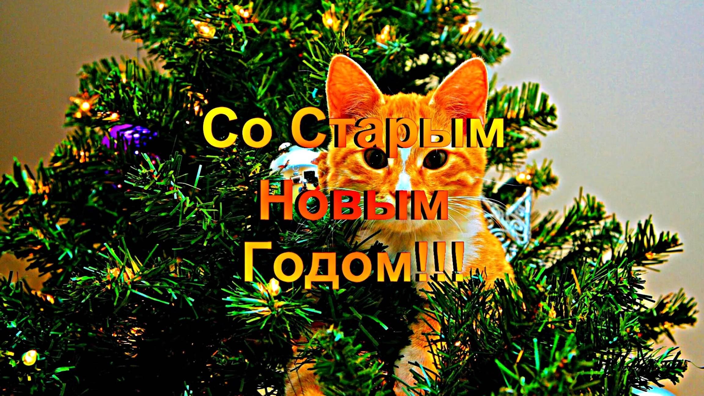 Со Старым Новым Годом!!! Поздравление Со Старым Новым Годом!!!