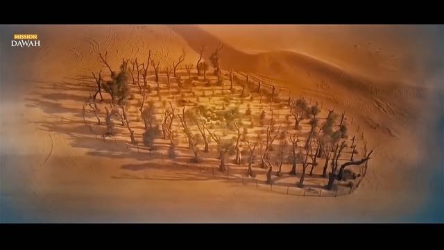 Жизнеописание Пророка Мухаммада #15: Когда его сандали были пропитаны кровью