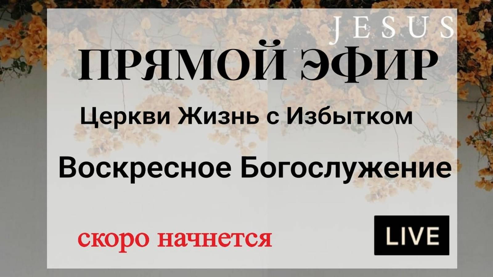 12.01.2025        11:00