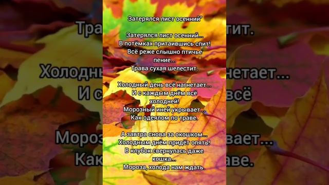 Мои стихи - Затерялся лист осенний.