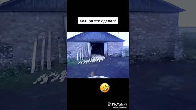 КАК ОН ЭТО ДЕЛАЕТ?🤣🤣🤣