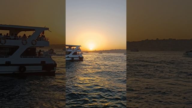 12509473_2160_3840_30fps