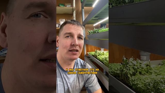 Кому я продаю микрозелень