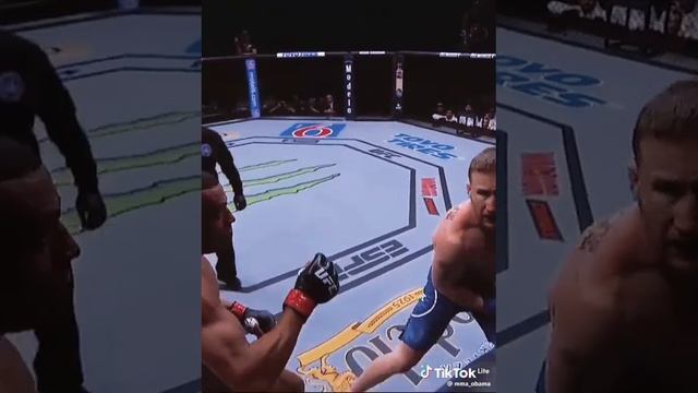 UFC зрелище