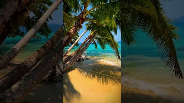 A lovely morning on the shore 🏖️#beach