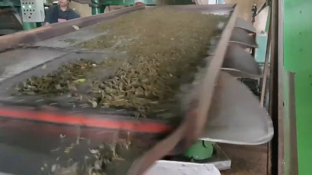 Производство чая Шри-Ланкa. Tea Production in Sri Lanka.