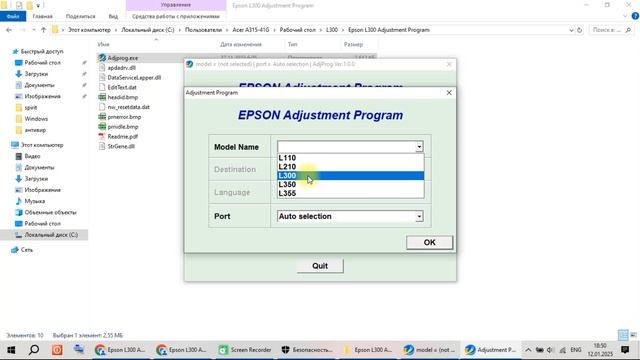 Epson L300 Adjustment Program