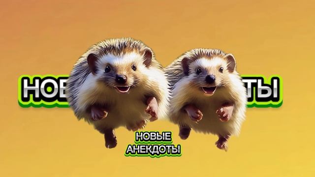 Ржака‼️новые анекдоты‼️
Анекдот 2025‼️ приколы‼️