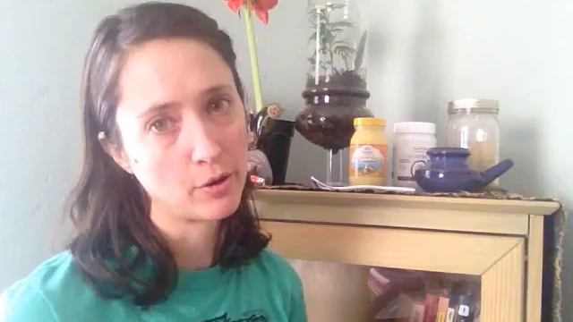 Lion's Tooth Wellness Panchakarma Petite ~ More Details