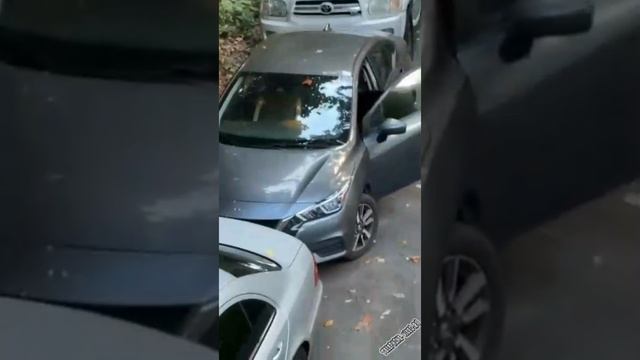 медвежатник 😂