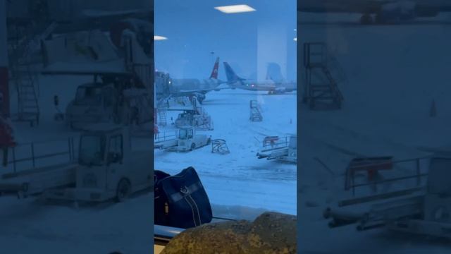 Ситуация в Пулково сейчас такая: пассажиры сидят на полу, играют в карты или смотрят на падающий за