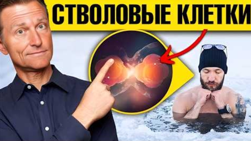 7 способов стимуляции стволовых клеток без походов в клинику