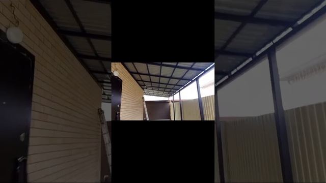 scene_output.mp4