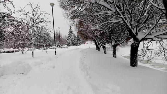 Санкт-Петербург метро Международная - яблоневый сад 12 января