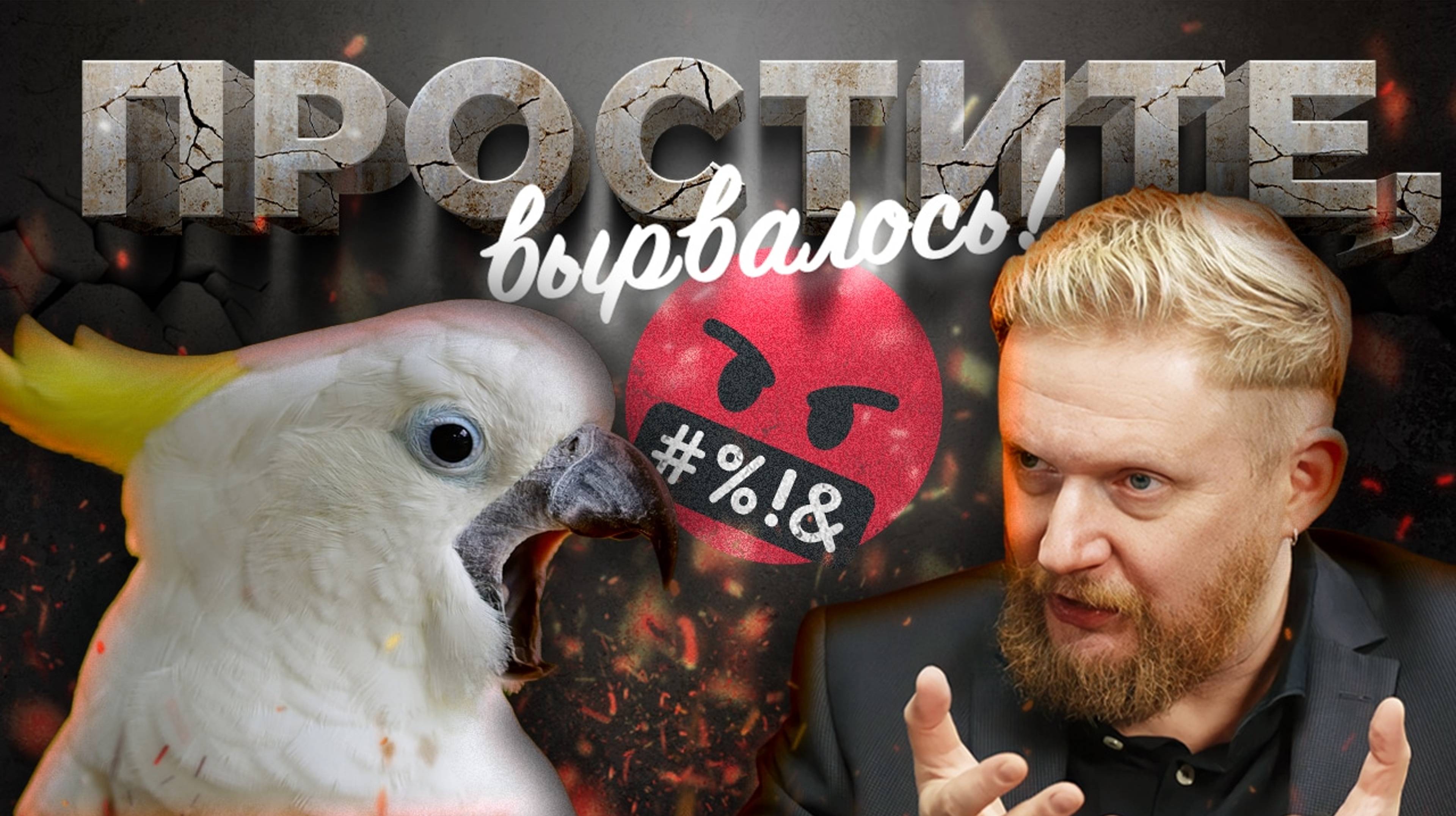 12.01.25 | "Простите, вырвалось!" №127 | Новости | Пояснительная Бригада выехала