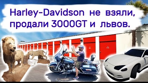 Harley-Davidson не взяли, продали 3000GT и львов.