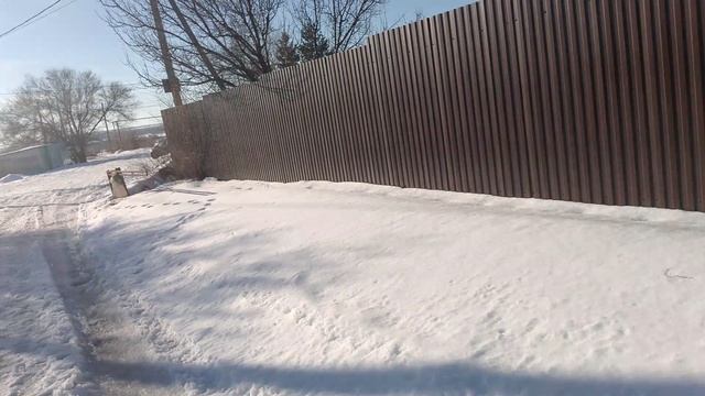 12.01.2024 зима на дачах. Мороз и лёд.