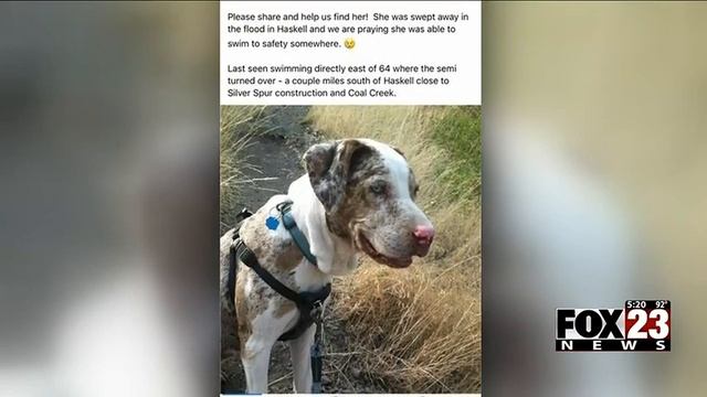 VIDEO: Dog returns to Haskell family, nearly two days after she was swept away by flood waters