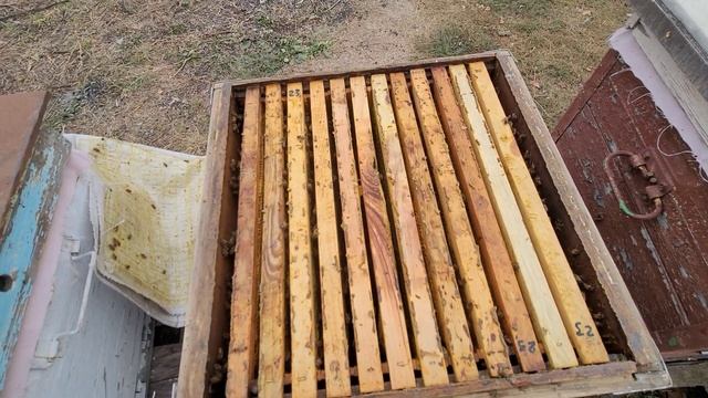 ф.22.сокрощаем оставшиеся гнёзда.